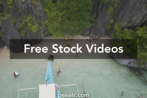 Belle Delphine Forest Video