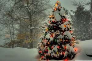 Christmas Wallpaper Free Android