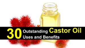 Where Do I Find Castor Oil In Walmart