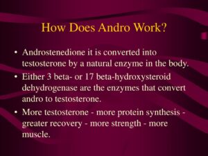 Does Andro 400 Work