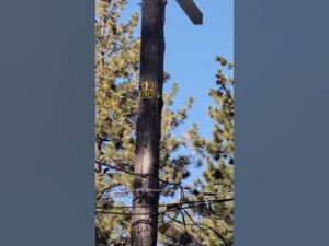 Peckers Cutoff Oklahoma