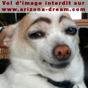 Is There A Walmart In Jackson Hole Wyoming