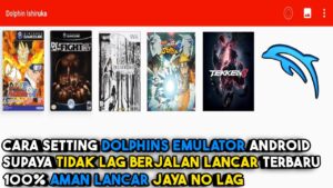 Dolphin Emulator Android Settings