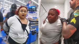 Walmart Shoplifters Pictures 2024