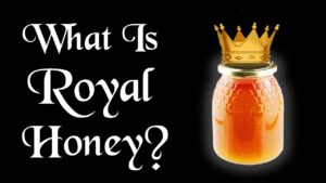 Royal Honey: How Long Until You Feel the Effects? (Expert Guide)